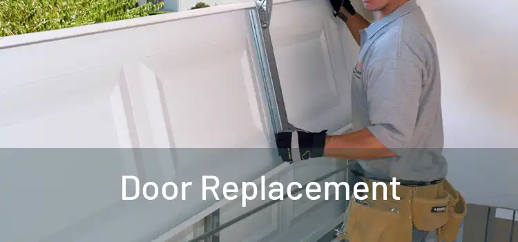  Door Replacement 